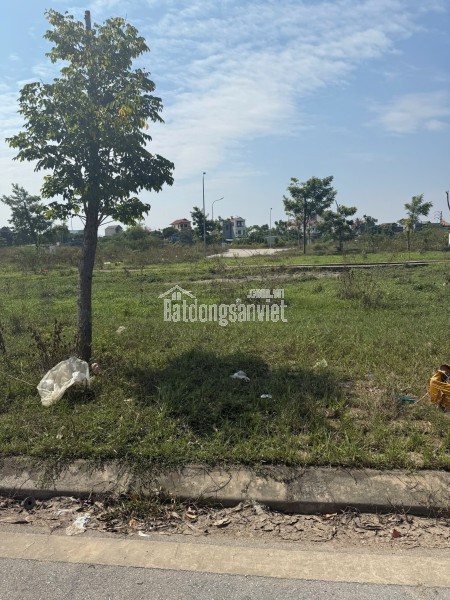 Lô Đất 413 m2- Mt 16m. Full thổ cư tại Yên Dũng, Bắc Giang. Giá 5,2 tỷ