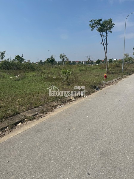 Lô Đất 413 m2- Mt 16m. Full thổ cư tại Yên Dũng, Bắc Giang. Giá 5,2 tỷ