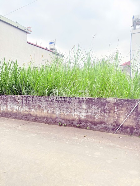 Lô Đất 413 m2- Mt 16m. Full thổ cư tại Yên Dũng, Bắc Giang. Giá 5,2 tỷ