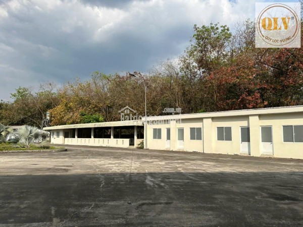 Cho thuê nhà xưởng Hội Nghĩa, Tân Uyên, Bình Dương 17.301m²