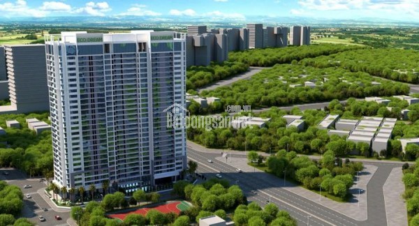 CHÍNH CHỦ BÁN CĂN GÓC CC ECO DREAM, XÃ TÂN TRIỀU, HUYỆN THANH TRÌ, HÀ NỘI