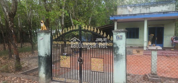 BÁN BIỆT THỰ LIỀN KỀ CAO CẤP CASA BONITA – ĐẠI ĐÔ THỊ VSIP NGHỆ AN