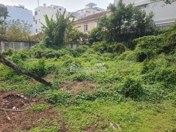 BÁN GẤP Đất Kênh A Bình Lợi Bình Chánh 2220m2 chỉ 59 tỷ! Thu hút đầu tư.