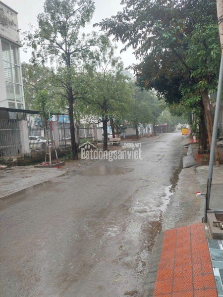 BÁN ĐẤT DỊCH VỤ HUYỀN KỲ – TRẠI TRÀNG CÀY – HÀ ĐÔNG 🏡

🔥 CẠNH ĐƯỜNG VÀNH ĐAI 4 – TIỀM NĂNG