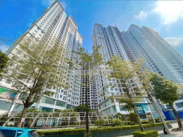 Tecco: Căn hộ giá mềm – Chính sách hỗ trợ cực tốt