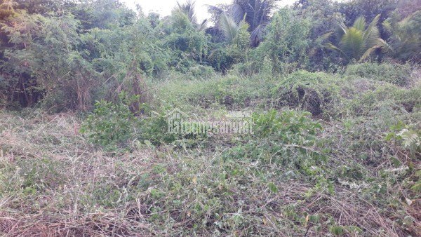 Pass phòng đẹp – full nội thất – có thang máy – Quận 3