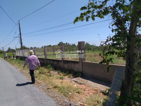 Bán đất Long Chánh – Gò Công – Diện tích 828,9m có 200 thổ cư – Hạ giá bán gấp 2,4tỳ