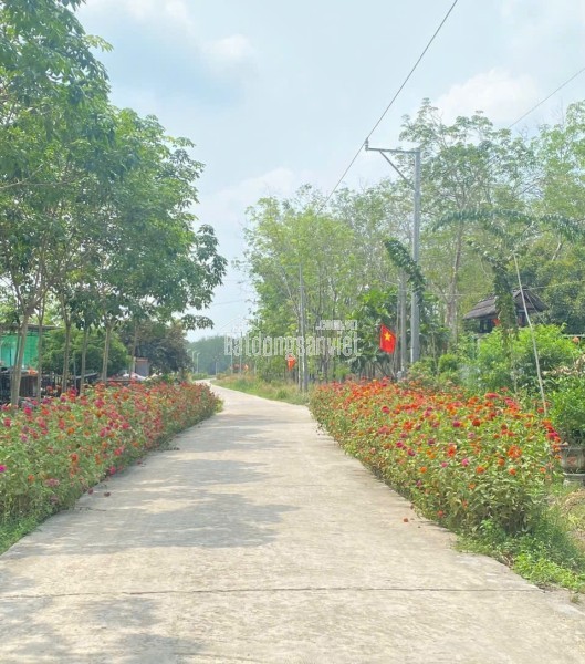 Cần bán lô đất ngay KCN Minh Hưng 3 Chơn Thành giá 575triệu sang tên ngay.