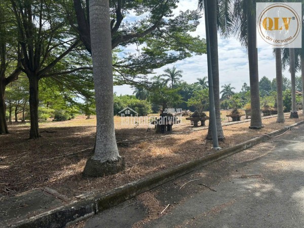 Bán kho, nhà xưởng tại Xã Mỹ Xuân, Huyện Tân Thành, Bà Rịa Vũng Tàu 21.439m²