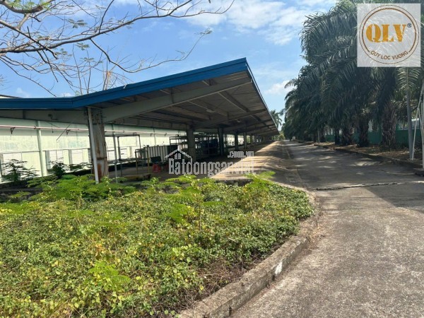 Bán kho, nhà xưởng tại Xã Mỹ Xuân, Huyện Tân Thành, Bà Rịa Vũng Tàu 21.439m²