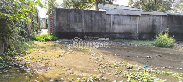 CHÍNH CHỦ BÁN 150m2 ĐẤT ODT SỔ HỒNG NGAY ĐƯỜNG TRÁNH MẶT TIỀN QL1A-KỲ ANH-HÀ TĨNH