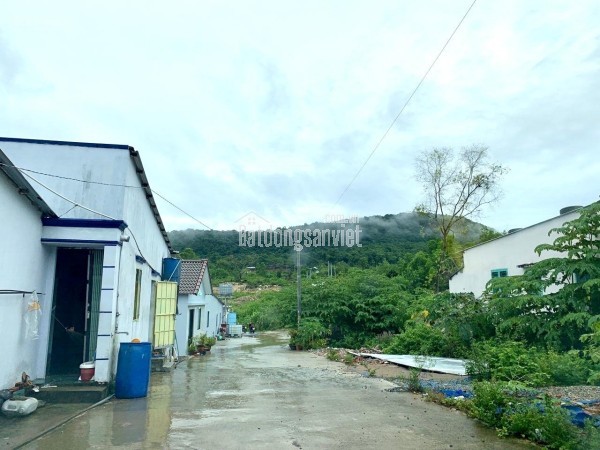 CHÍNH CHỦ BÁN 150m2 ĐẤT ODT SỔ HỒNG NGAY ĐƯỜNG TRÁNH MẶT TIỀN QL1A-KỲ ANH-HÀ TĨNH