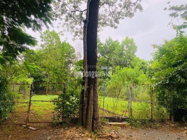 CHÍNH CHỦ BÁN 150m2 ĐẤT ODT SỔ HỒNG NGAY ĐƯỜNG TRÁNH MẶT TIỀN QL1A-KỲ ANH-HÀ TĨNH