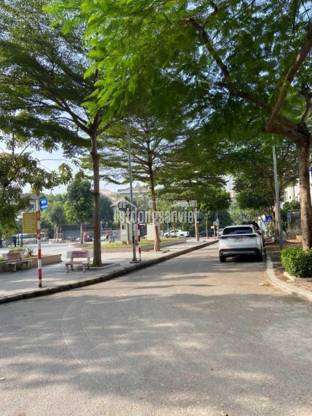 Cho thuê MP Nguyễn Hoàng, 70m2, mặt tiền 4,2m 8 tầng, thang máy