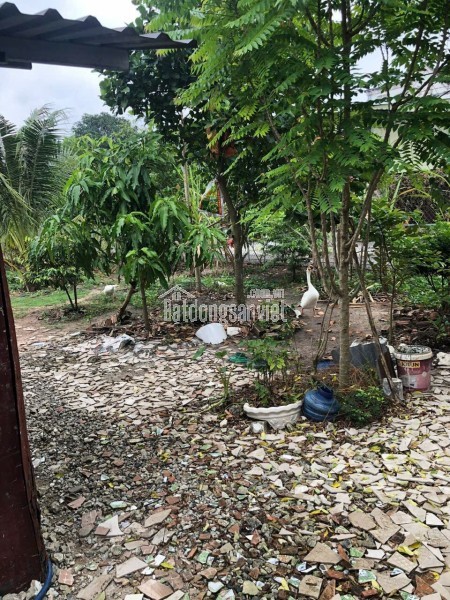 Bán nhà đất mặt tiền Hùng Vương Nhơn Trạch thuộc Xã Vĩnh Thanh 1207m2 ngang 13.7m có 240 thổ cư