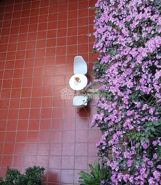 CHÍNH CHỦ CHO THUÊ CĂN HỘ ~50m² – TRẦN CUNG, Cổ Nhuế 1 (cũ), Hà Nội