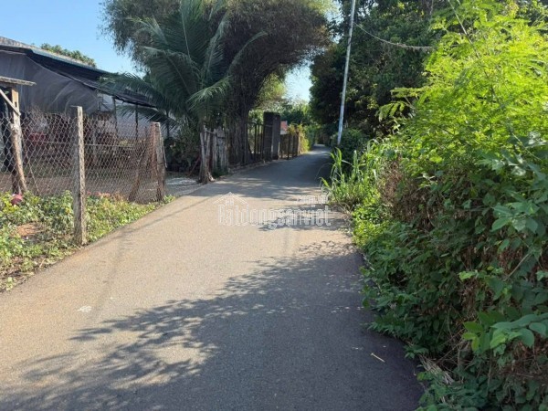 BÁN ĐẤT ĐƯỜNG SỐ 79 – HÒA LONG, TP.HCM