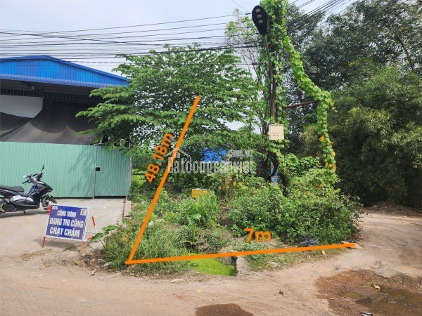 NGÂN HÀNG THANH LÝ NHÀ MT 12M, ĐƯỜNG NHỰA 8M, DT 1116M2, PHÚ GIÁO BD