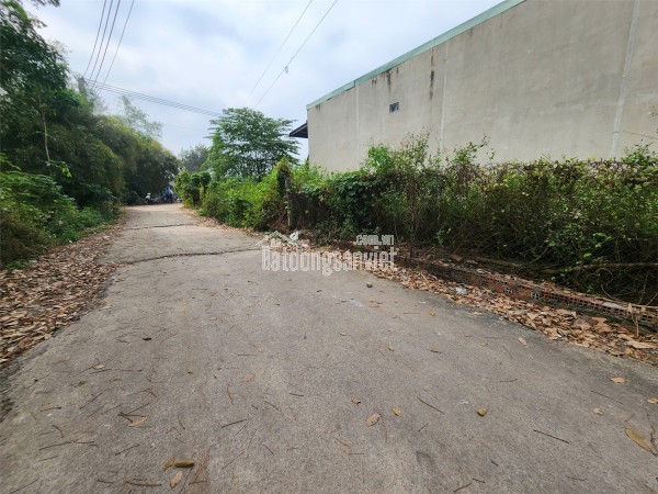 NGÂN HÀNG THANH LÝ NHÀ MT 12M, ĐƯỜNG NHỰA 8M, DT 1116M2, PHÚ GIÁO BD