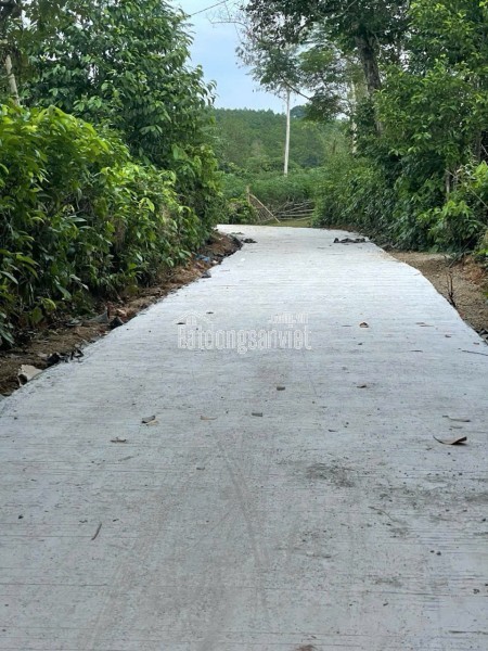 CC BÁN 50M ĐẤT KHU 2.3ha TT TRẠM TRÔI - HOÀI ĐỨC - HÀ NỘI