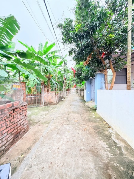 CC BÁN 50M ĐẤT KHU 2.3ha TT TRẠM TRÔI - HOÀI ĐỨC - HÀ NỘI