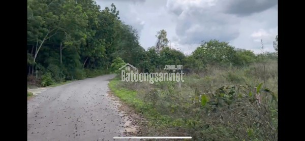 HOT - BÁN GẤP LÔ ĐẤT 702m² XÃ LONG NGUYÊN, BÀU BÀNG, BÌNH DƯƠNG – GIÁ CHỈ 1 TỶ 250, BAO SANG TÊN