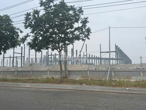 XUỐNG TIỀN NGAY  – NHẬN NHÀ CĂN HỘ CAO CẤP LUSSO SAIGON