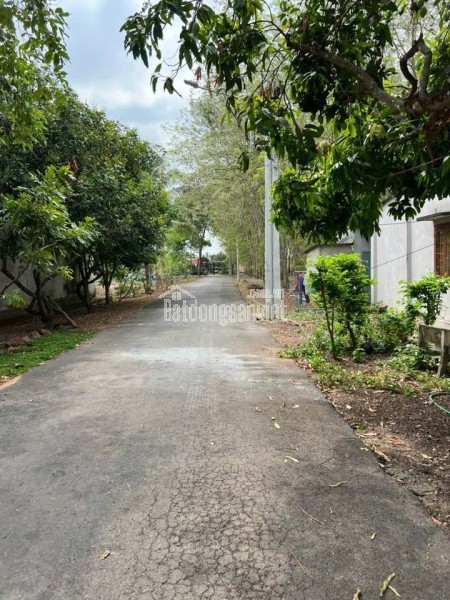 🔥 Đất Long Hoà (Long Tân cũ) – 10x52, 100m² thổ cư, gần KCN, giá chỉ 9xx!