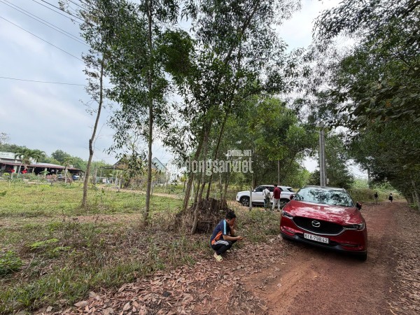 BÁN ĐẤT 1.680M² TẠI ẤP BÀ PHÁI, LONG NGUYÊN, BÀU BÀNG – GIÁ 1,5 TỶ, GẦN KCN, THÍCH HỢP ĐẦU TƯ SINH