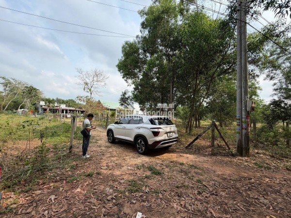 BÁN ĐẤT 1.680M² TẠI ẤP BÀ PHÁI, LONG NGUYÊN, BÀU BÀNG – GIÁ 1,5 TỶ, GẦN KCN, THÍCH HỢP ĐẦU TƯ SINH