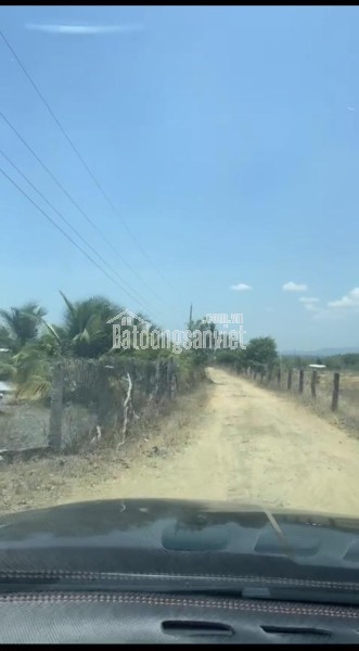 Cần chuyển nhượng lô đất lý tưởng cho mô hình trang trại tại Thôn 2, xã Hồng Sơn,Lâm Đồng