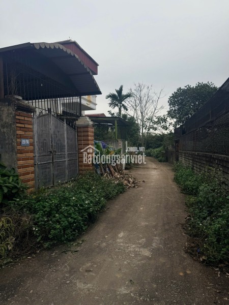 BÁN ĐẤT TRUNG TÂM TRUNG SƠN TRẦM – GIÁ CHỈ 25 TRIỆU/M²