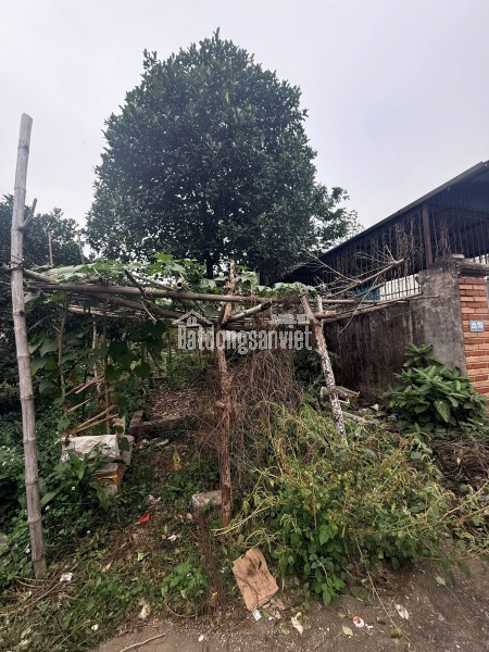 BÁN ĐẤT TRUNG TÂM TRUNG SƠN TRẦM – GIÁ CHỈ 25 TRIỆU/M²