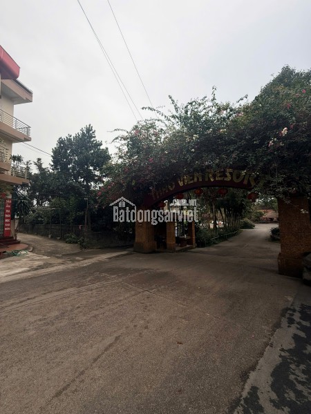 BÁN ĐẤT TRUNG TÂM TRUNG SƠN TRẦM – GIÁ CHỈ 25 TRIỆU/M²