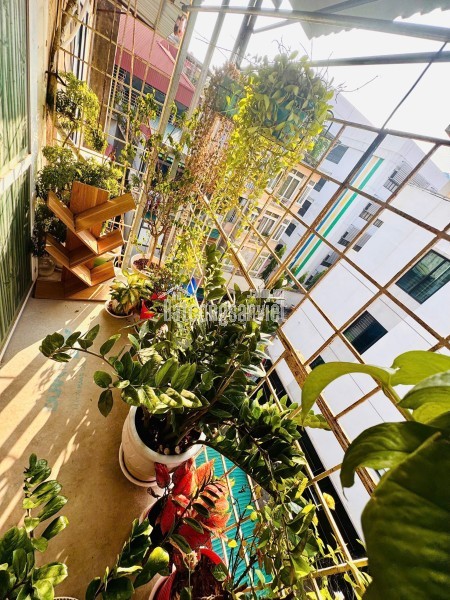 🆘 Hiếm vô cùng _____
🔥 Căn góc Văn Chương 3 mặt thoáng sáng, ở sướng.

- Ai đang tìm nhà khu