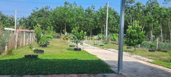 🌿 Nhà vườn mơ ước Minh Thạnh – 15x84, 300m² thổ cư, giá chỉ 1tỷ2xx!