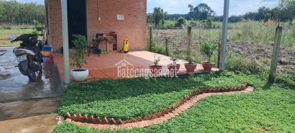 🌿 Nhà vườn mơ ước Minh Thạnh – 15x84, 300m² thổ cư, giá chỉ 1tỷ2xx!