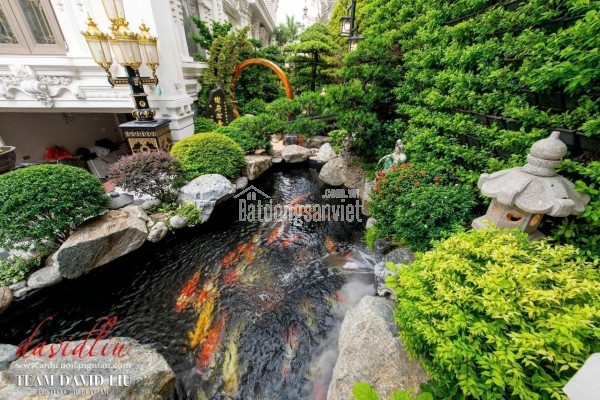 Chính chủ cần bán gấp Dinh thự 1200m2 1 hầm 5 lầu thang máy, 300ty