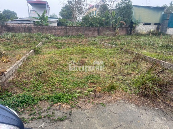 Chính chủ cần bán đất đẹp Khu phố Tây Bắc, xã Yên Thủy, Phú Thọ