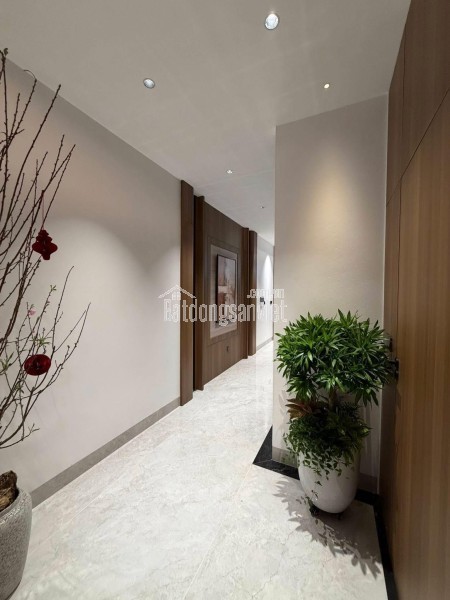 **Bán nhà hẻm Hoàng Văn Thụ, phường 4 Tân Bình (4,5*16,5) chỉ 9,5 tỷ