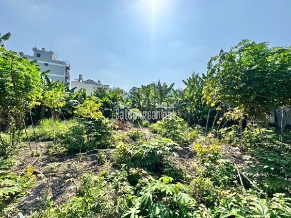 Bán Gấp! Đất 2 MT Hẻm  6m -Trước Sau  P. Văn Hai, Bình Chánh 16000m²  59  Tỷ