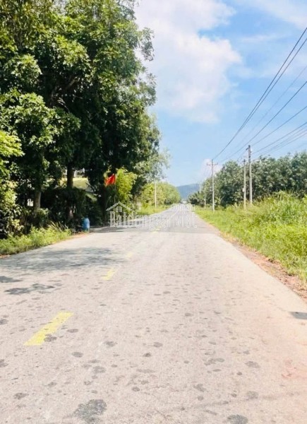 🔥 Cần ra gấp lô duy nhất đường DH không tên thông DT744 – 5x52, 100m² thổ cư, giá chỉ 6xx!