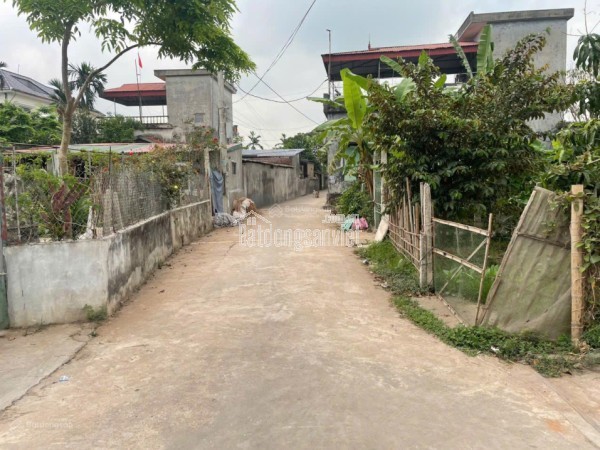 Chỉ 690tr có ngay đất xã Quỳnh Phụ - Gần chợ, Cty Sao Vàng, TT Quỳnh Côi cũ, đường ô tô