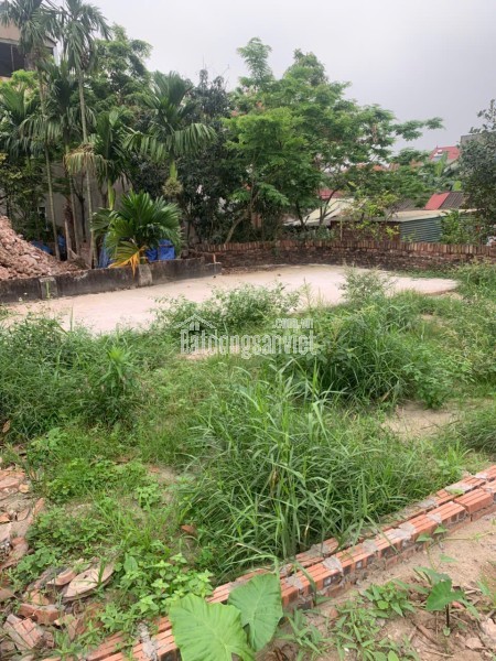 Bán đất trung tâm TRUÂ QUỲ  hàng hiếm còn sót lại 44m giá nhỉnh 5 tỷ