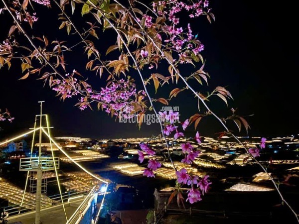 Cho thuê quán Cà phê và Homestay 45 triệu/tháng Hùng Vương phường 11 Đà Lạt