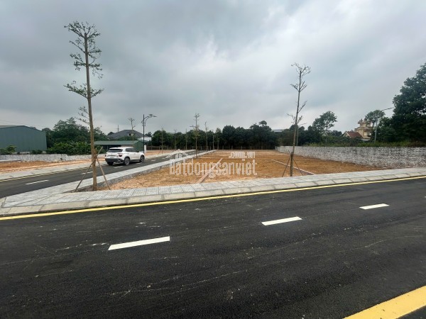 Chi Hơn 𝟐 tỷsở hữu ngay lô 𝟏𝟎𝟎𝐦² 𝐟𝐮𝐥𝐥 thổ cư