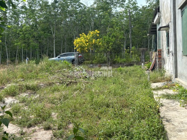 Chính chủ bán gấp đất 920m2 tại chợ Định Hiệp