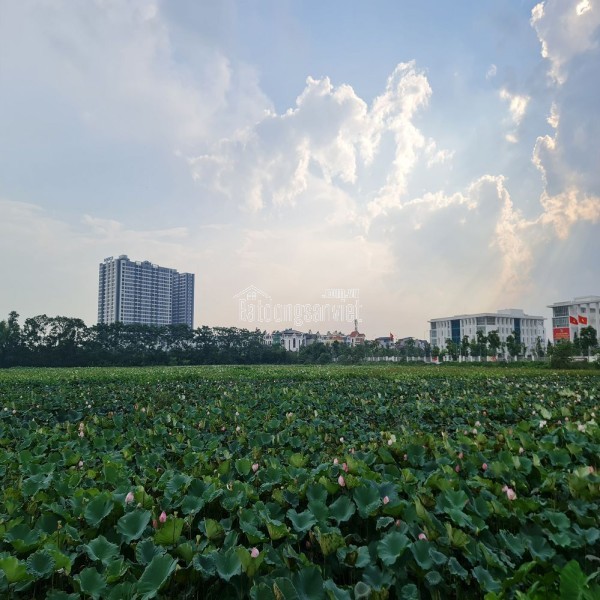 123m2 đất đấu giá 31ha, Trâu Quỳ, Gia Lâm, HN. Đường 13m view vườn hoa.  Lh 0989894845