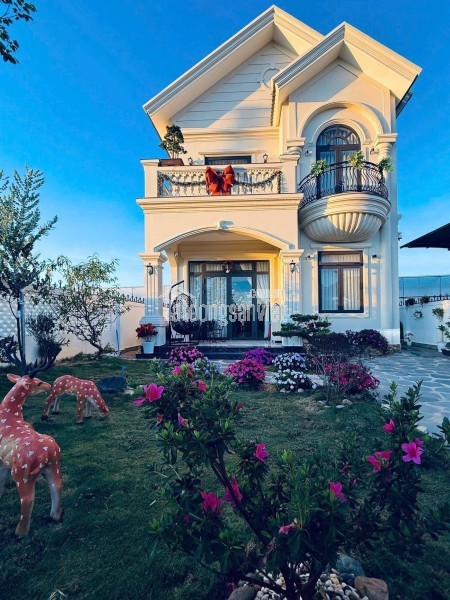 Cho thuê căn hộ 3 mặt tiền 9,5 triệu/tháng Triệu Việt Vương phường 3 Đà Lạt