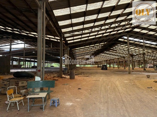 Cho thuê nhà xưởng Bắc Tân Uyên, Bình Dương 37.000m²